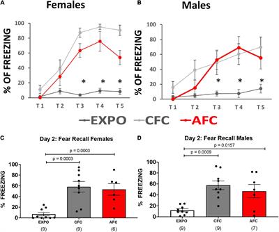 Plasticity of GluN1 at Ventral Hippocampal Synapses in the Infralimbic Cortex